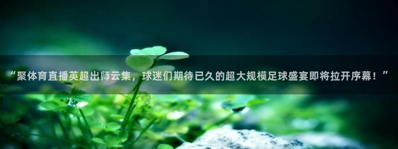 玩球直播官网入口：“聚体育直播英超出师云集，球迷们期待已久的超大规模足球盛宴即将拉开序幕！”
