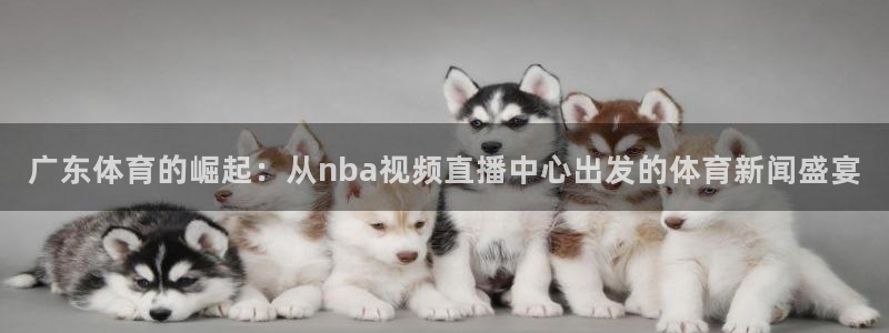 玩球直播app下载：广东体育的崛起：从nba视频直播中心出发的体育新闻盛宴