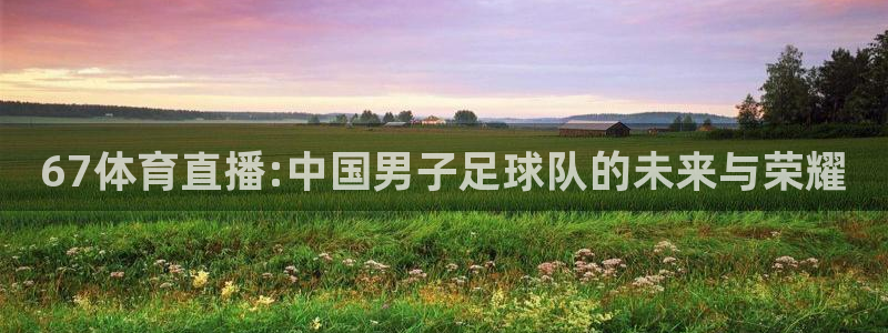 小班体育游戏玩球：67体育直播:中国男子足球队的未来与荣耀