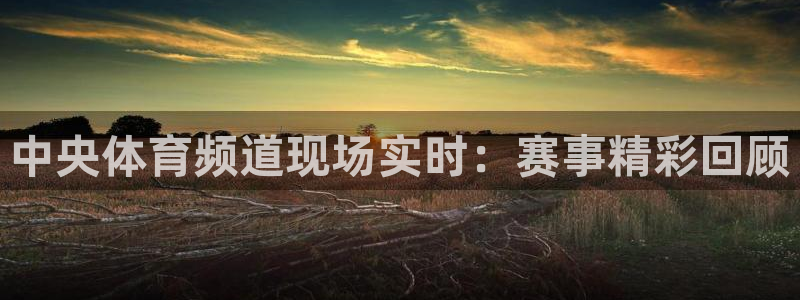 玩球直播最新版：中央体育频道现场实时：赛事精彩回顾