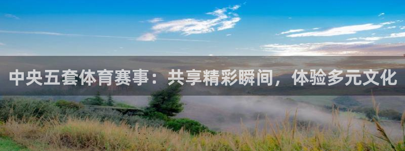 玩球吧直播：中央五套体育赛事：共享精彩瞬间，体验多元文化