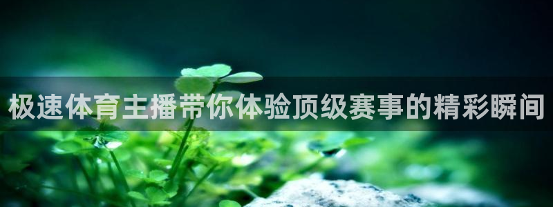 玩球直播(免费版)：极速体育主播带你体验顶级赛事的精彩瞬间