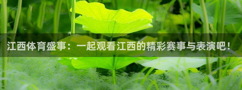 玩球直播app最新版本下载：江西体育盛事：一起观看江西的精彩赛事与表演吧！
