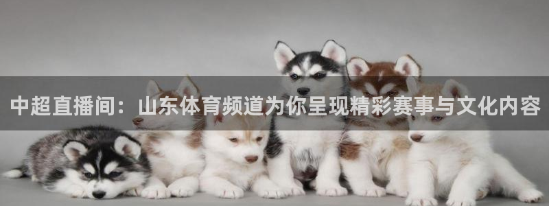 玩球直播网站：中超直播间：山东体育频道为你呈现精彩赛事与文化内容