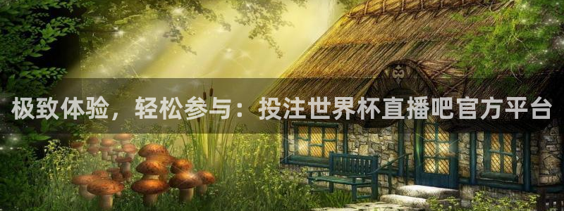 360玩球直播：极致体验，轻松参与：投注世界杯直播吧官方平台