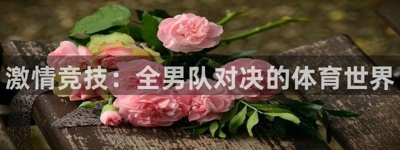 360玩球直播：激情竞技：全男队对决的体育世界