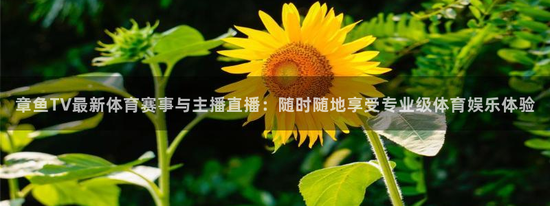 nba直播玩球直播：章鱼TV最新体育赛事与主播直播：随时随地享受专业级体育娱乐体验