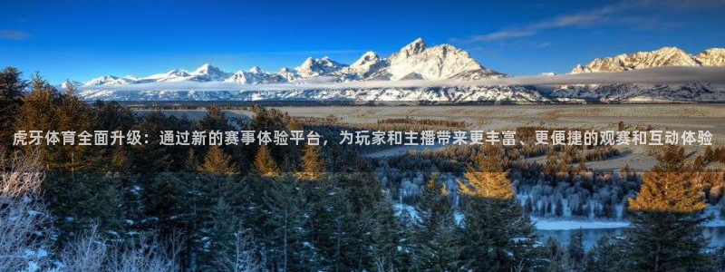 玩球直播官网下载：虎牙体育全面升级：通过新的赛事体验平台，为玩家和主播带来更丰富、更便捷的观赛和互动体验